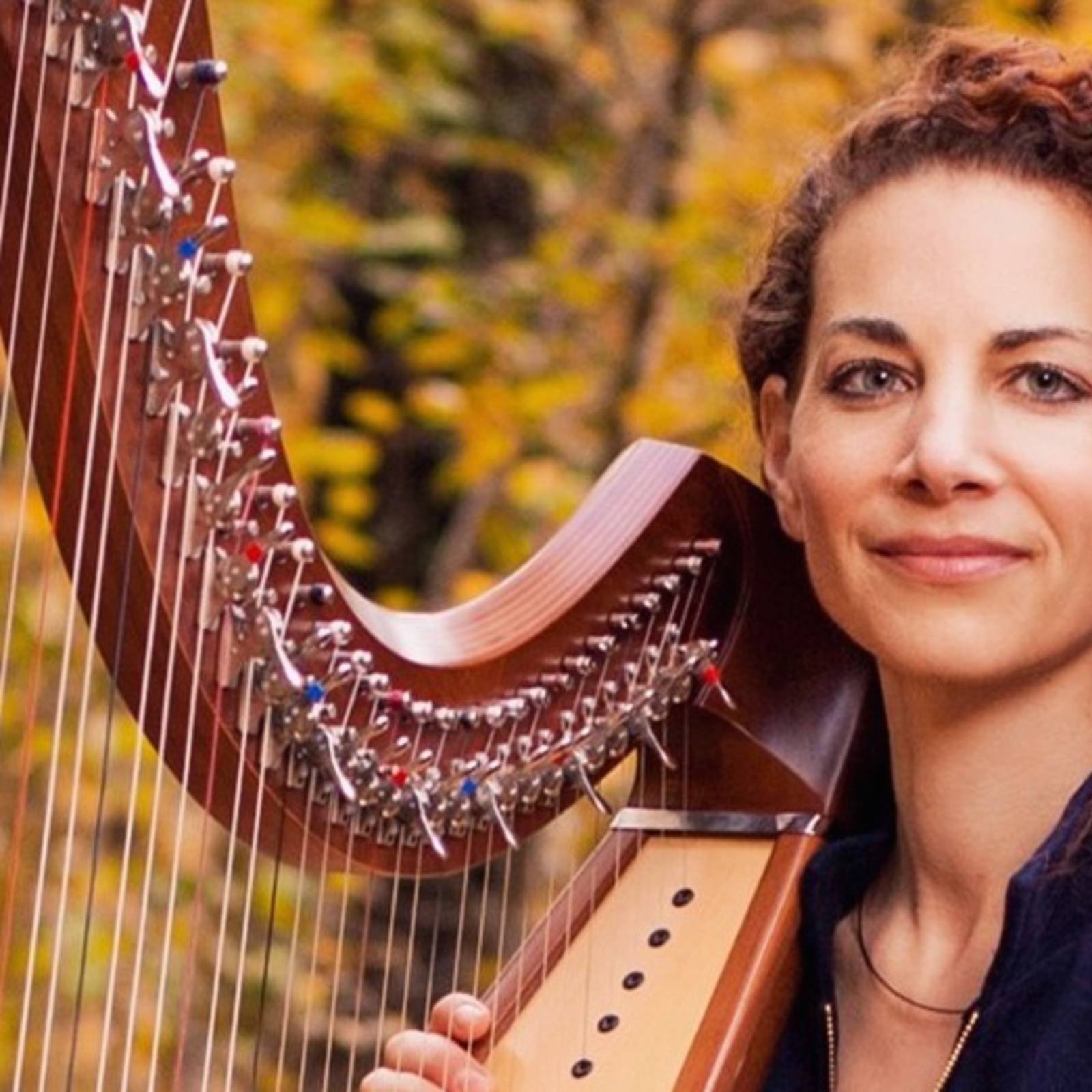 Un concert de harpe et voix celtique « magnifique »