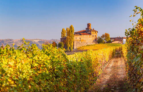 Le Piémont (C) Hertzeisen Voyages