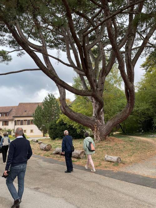  Areuse – Communauté de Grandchamp  Entre arbres, jardins et petits chemins, une jolie balade paisible dans un écrin de verdure, propice à la découverte et à la contemplation.